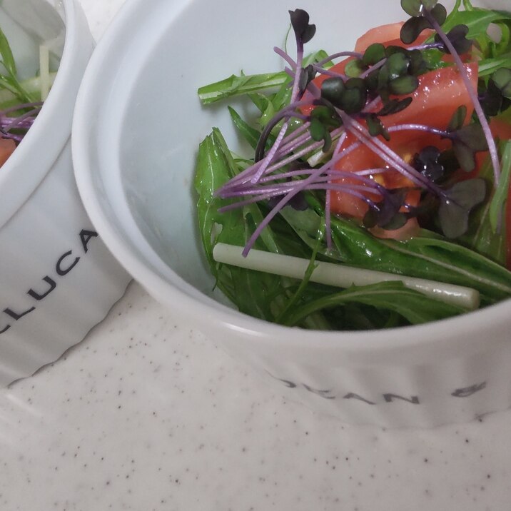 水菜とトマトとレッドキャベツのサラダ☆